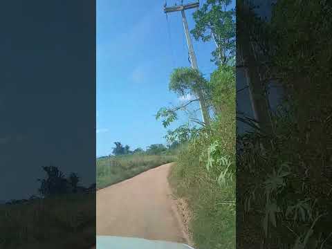 zona rural de ubata sul da Bahia