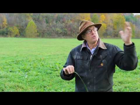 Dr. Sara May, Allergy and Immunology