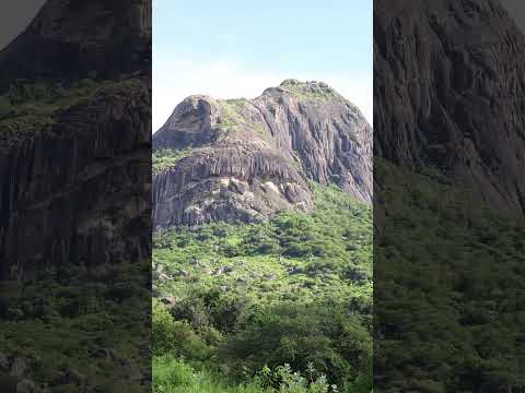 Missi: Onde a Natureza se Impõe em Grandeza