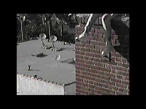 VELVETEARS - This Must Be Hell (Official Audio)