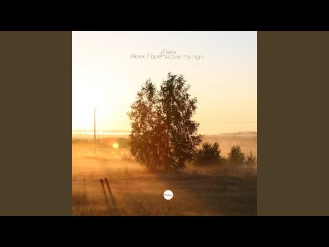 All Over the Night (Radio Edit)