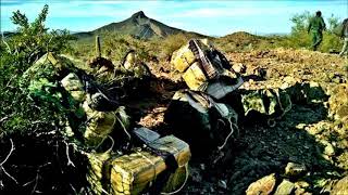 Soy de Sonora - Revolver Cannabis Ft. Jorge Santa Cruz