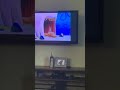 Getting Chased By The Alaskan Bull Worm