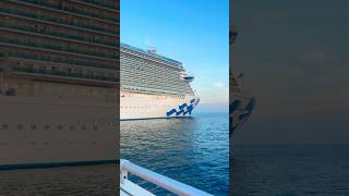 Isn’t She Lovely? Discovery Princess #cruiseship #cruise #shorts