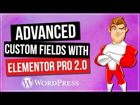 Advanced Custom Fields ACF Elementor Pro 2 0