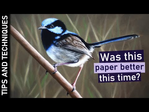 Drawing a realistic bird in pastels | Canson Mi-Teintes Velvet paper