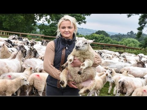 Amazing Modern Automatic Sheep Farming Technology | Sheep Farming, livestock | Bird and Animal Sound