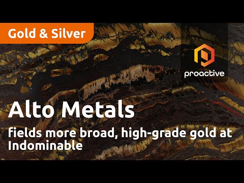 Alto Metals fields more broad, high-grade gold at Indomitable