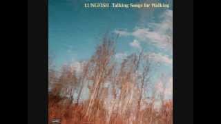 Music video thumbnail preview for Lungfish - Reveal Me by Lungfish