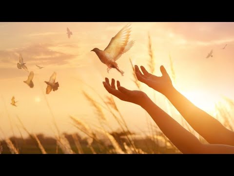 CÂND se primește Duhul Sfânt (Fapte 2:38) | Andrei Croitoru | Live 196