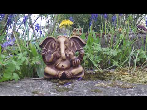 Reines Gewahrsein Meditation