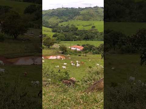 Fazenda de Claraval,minas gerais