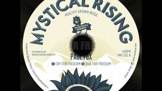 PAUL FOX - CRY FOR FREEDOM + DUB FOR FREEDOM (SONG PREVIEW)
