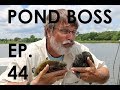 Habitat Podcast #44 - Bob Lusk - Ponds - Water, Habitat, Food Chain, Genetics, Harvest & Pond Boss