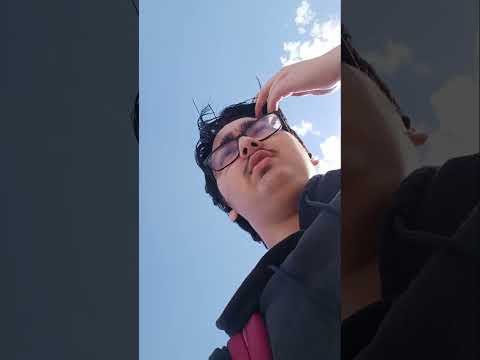 Pin talks about future Elf Tribe books (and a sidestory.)