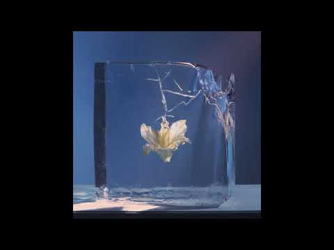 Else - Night Thoughts