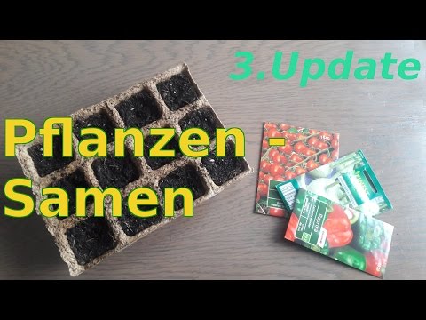 , title : 'Pflanzensamen 3. Update //  Erdbeersamen vorziehen & Paprika, Tomaten - Sämlinge pikieren'