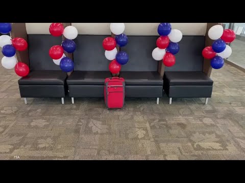 This TSA Airport Sniffer Dog Got The Greatest Retirement Sendoff Surprise Ever