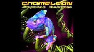 Chameleon vs Temporal codine - Tachyon generator