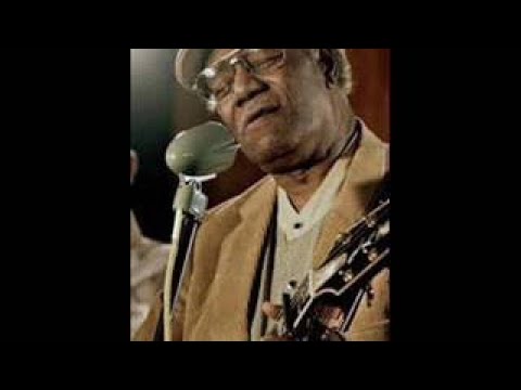 Thumbnail for Johnnie Bassett vesves The Blues Insurgents Lucerne Blues Festival. 1997 by Johnnie Bassett