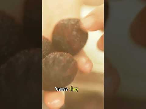 Elspeth Hay: Trees for Food Security & Resilience