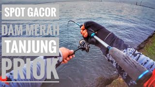 Download lagu spot Lagi Gacor ‼️ Dam Merah Tanjung priok, cukup mancing di pinggir mp3