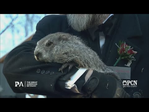 Groundhog Day 2026: Punxsutawney Phil predicts 6 more weeks of winter