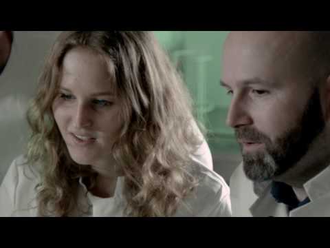 P6: Dynamics of events in HIV replication (english)