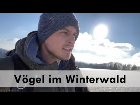 Natur Entdecken - Vögel im Winterwald