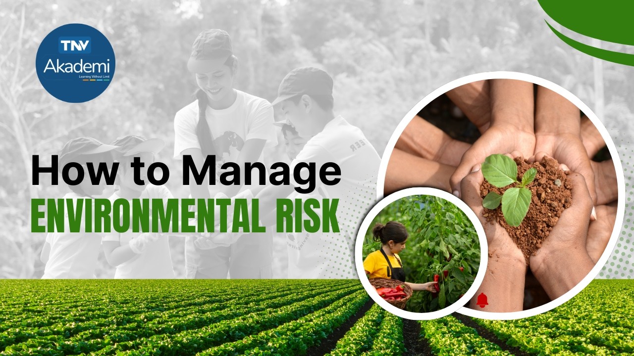 How to Manage Environmental Risk