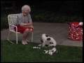 Millie Puppies And Ranger Clip Tape
