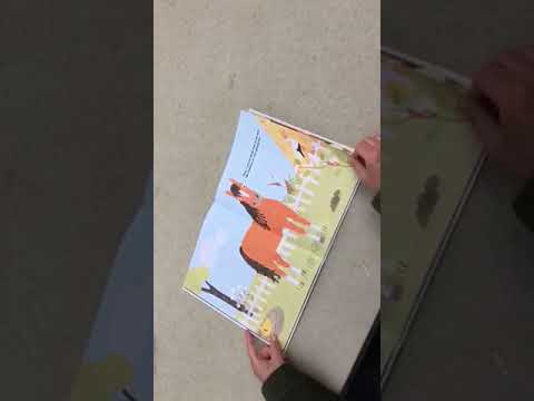 We hebben er een geitje bij! - Freekids Kinderopvang