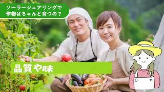 ソーラーシェアリング推進連盟様_サービス紹介