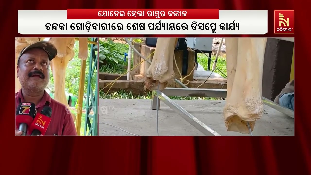 ଶେଷ ପର୍ଯ୍ୟାୟରେ ଦନ୍ତା ହାତୀ ରାମୁର କଙ୍କାଳ ଡିସପ୍ଲେ କାର୍?