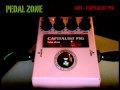 AMT - Capitalist Pig demo 