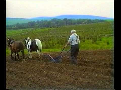 Ploughing with Horses Farming the old way in Ireland