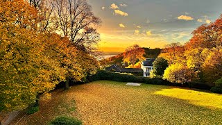 The Hamburg Chronicles – Week 44 – The Integration of Higher Light.