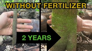 Why we NEVER buy FERTILIZER +7 FREE ways we FEED our SOIL