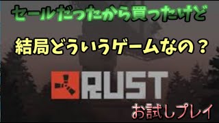 歩みし者の「RUST」テストプレイ