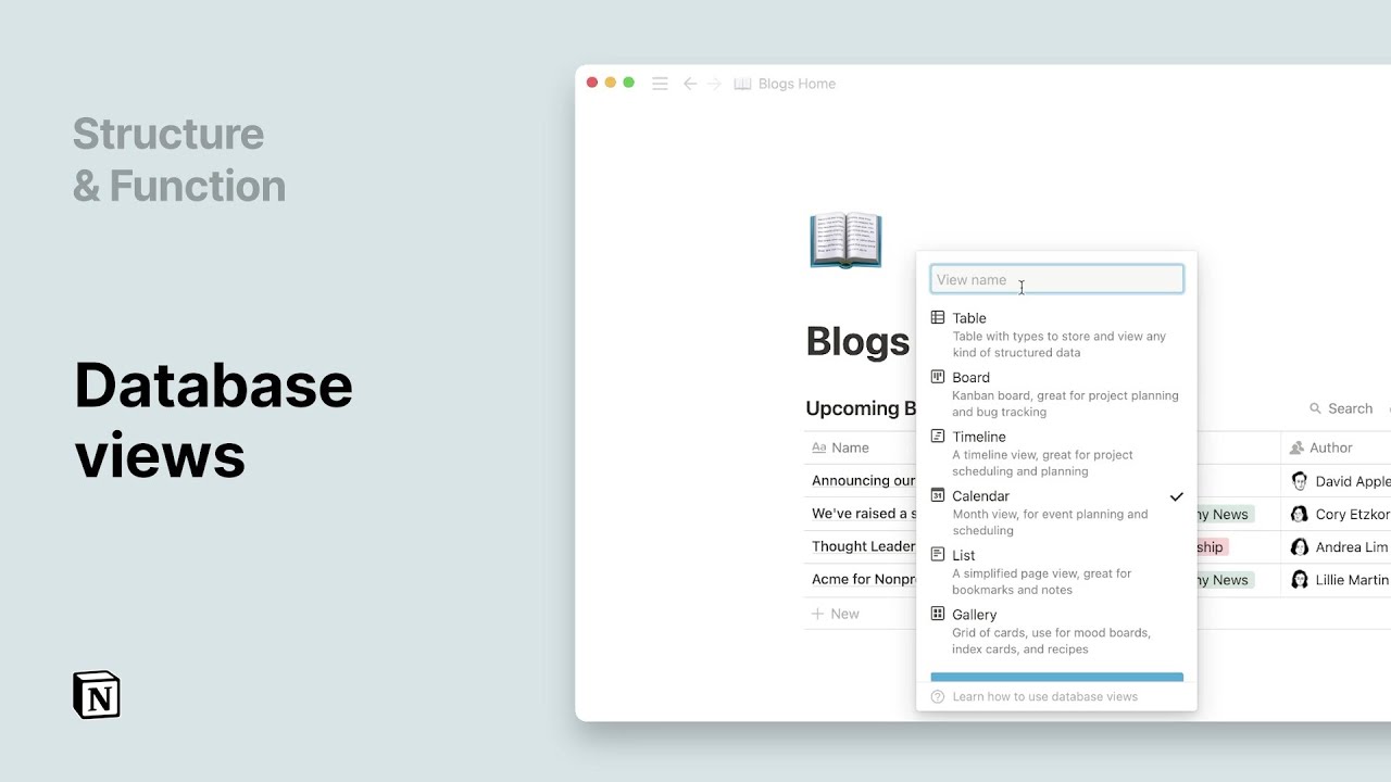 Database Views
