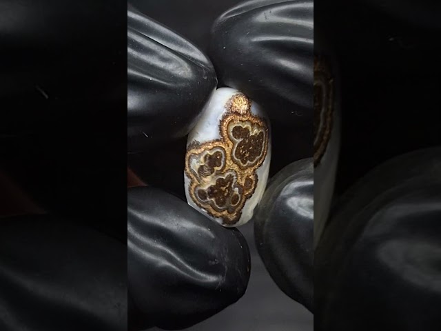 حجر عقيق داؤدي تداخل الوان رائع