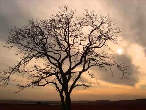 Video thumbnail for Nothing Can Be Explained