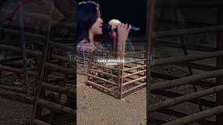 Download lagu AYAM JAGO SEBELUM JADI BINTANG#youtuber #youtubeshorts #youtube #ytshorts #youtubeshort #ytshort mp3 Download lagu AYAM JAGO SEBELUM JADI BINTANG#youtuber #youtubeshorts #youtube #ytshorts #youtubeshort #ytshort mp3