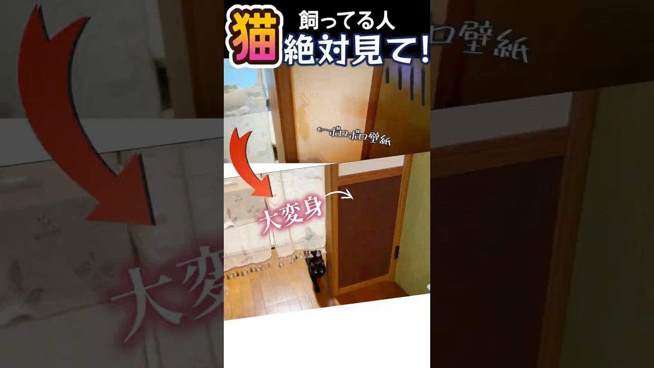 猫に壁ボロボロにされた人、これで隠せる！