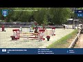 JUMENT de 5 ANS par ANDIAMO SEMILLY
