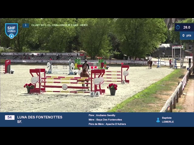 JUMENT de 5 ANS par ANDIAMO SEMILLY