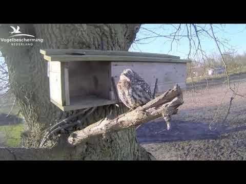 Youtube spenden einrichten