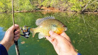 UNCUT Ultralight Fishing with Worms