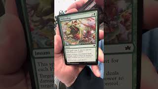 Bloomburrow Intermission pack! #sanjosesharks #mtg #mtgcommunity