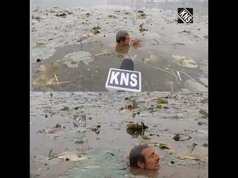 Nadru harvesting at Manasbal Lake in Ganderbal gains momentum following a c...